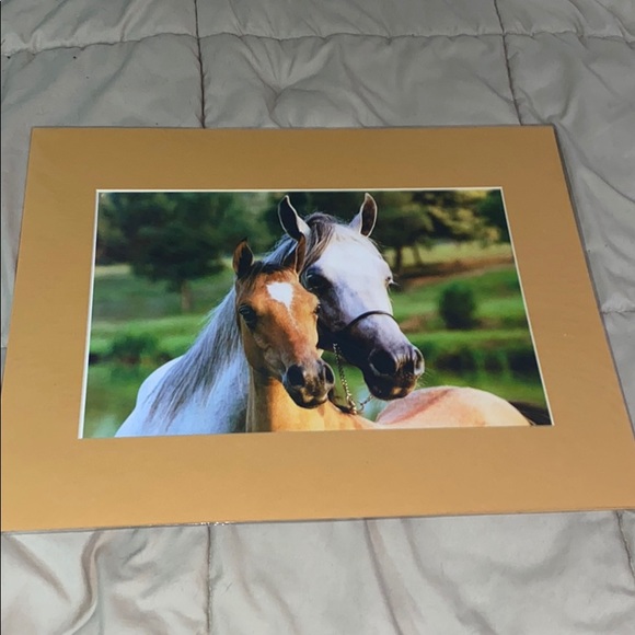 Other - NWT, Beautiful horse print, measures 16x20